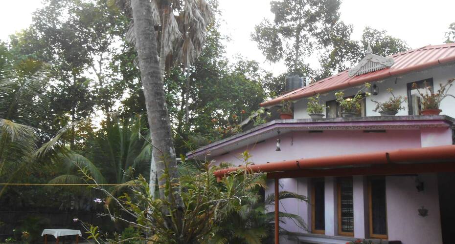 Hotel Palace, Jabalpur 4